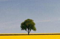 湖南虹貓信息科技有限公司選擇英銘長沙網(wǎng)站建