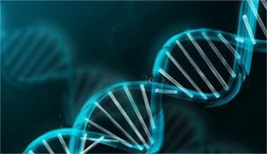 長(zhǎng)沙艾碧維生物科技有限公司