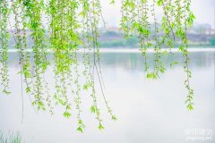 望城網站搭建