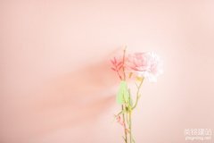 公司網(wǎng)站開(kāi)發(fā)