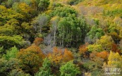長沙建站公司怎么選擇？（長沙建站公司的4個服務(wù)內(nèi)容