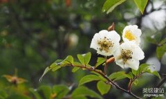 長沙大型網(wǎng)站開發(fā)要怎么做？（長沙大型網(wǎng)站開發(fā)的4個步驟）