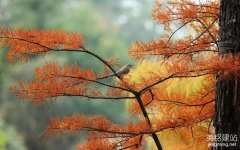 長(zhǎng)沙企業(yè)網(wǎng)站設(shè)計(jì)要怎么做？（長(zhǎng)沙企業(yè)網(wǎng)站設(shè)計(jì)的5個(gè)注意事項(xiàng)）