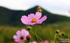 寧鄉(xiāng)網(wǎng)站開發(fā)的難點(diǎn)有哪些？（寧鄉(xiāng)網(wǎng)站開發(fā)的4個(gè)難點(diǎn)）