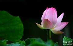 湘潭網(wǎng)頁(yè)設(shè)計(jì)的要素是什么？（湘潭網(wǎng)頁(yè)設(shè)計(jì)的3個(gè)要素）