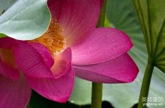 寧鄉(xiāng)做網(wǎng)站多少錢比較合適？（寧鄉(xiāng)做網(wǎng)站費用的4個部分）