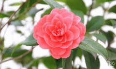 湖南網(wǎng)站制作公司有哪些服務(wù)項(xiàng)目？（湖南網(wǎng)站制作公司的6個(gè)服務(wù)項(xiàng)目）