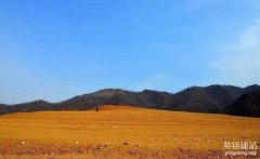 長沙網(wǎng)站開發(fā)公司有哪些服務(wù)項(xiàng)目？（長沙網(wǎng)站開發(fā)公司的4個服務(wù)重點(diǎn)）