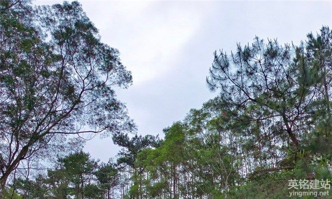 長沙網站開發的具體流程是什么?（長沙網站開發的6個基本流程）